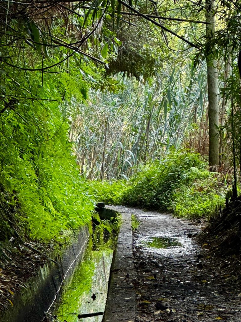 Madeira (Funchal) Levada