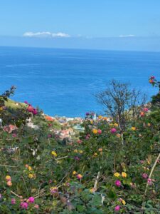 Madeira (Funchal)